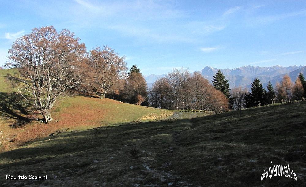 02 Paesaggio bucolico tra boschi.JPG